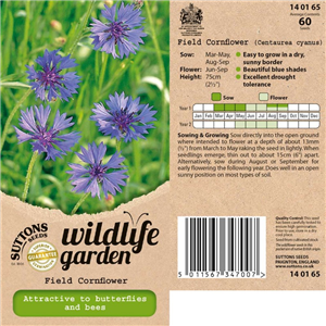 Cornflower Field Cornflower